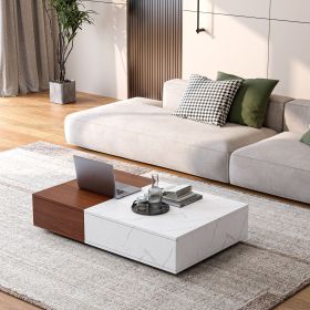 Modern Style Walnut Coffee Table with Two Storage Spaces