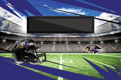 [Personalization Only] Official NFL Ravens -20"x32"