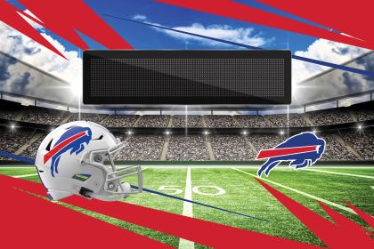 [Personalization Only] Official NFL Buffalo Bills -20"x32"