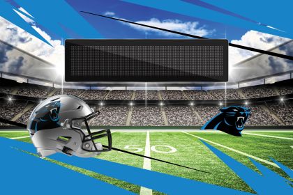 [Personalization Only] Official NFL Panthers - 20"x32"