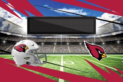 [Personalization Only] Official NFL Arizona Cardinals -20"x32"