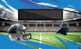 [Personalization Only] Official NFL Carolina Panthers -36"x62"